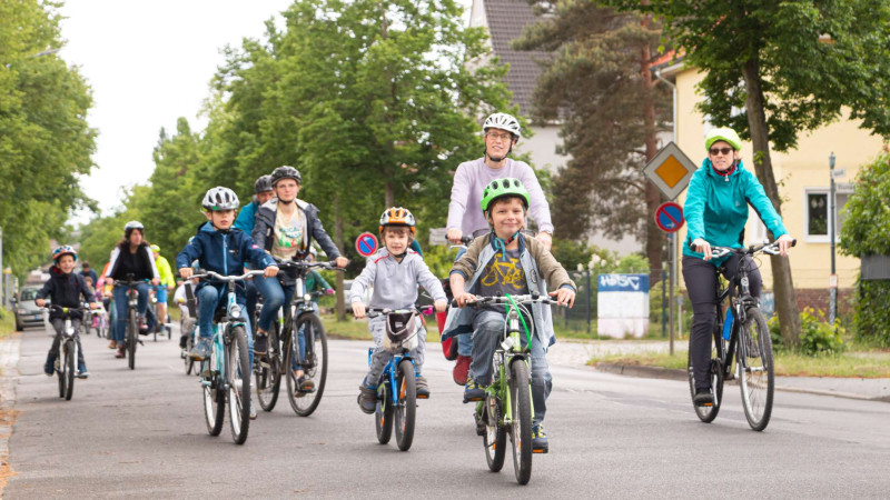 Mehrere junge und ältere Menschen fahren mit dem Fahrrad auf einer Straße mit grünen Bäumen entlang